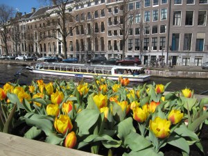 Tulips and canals