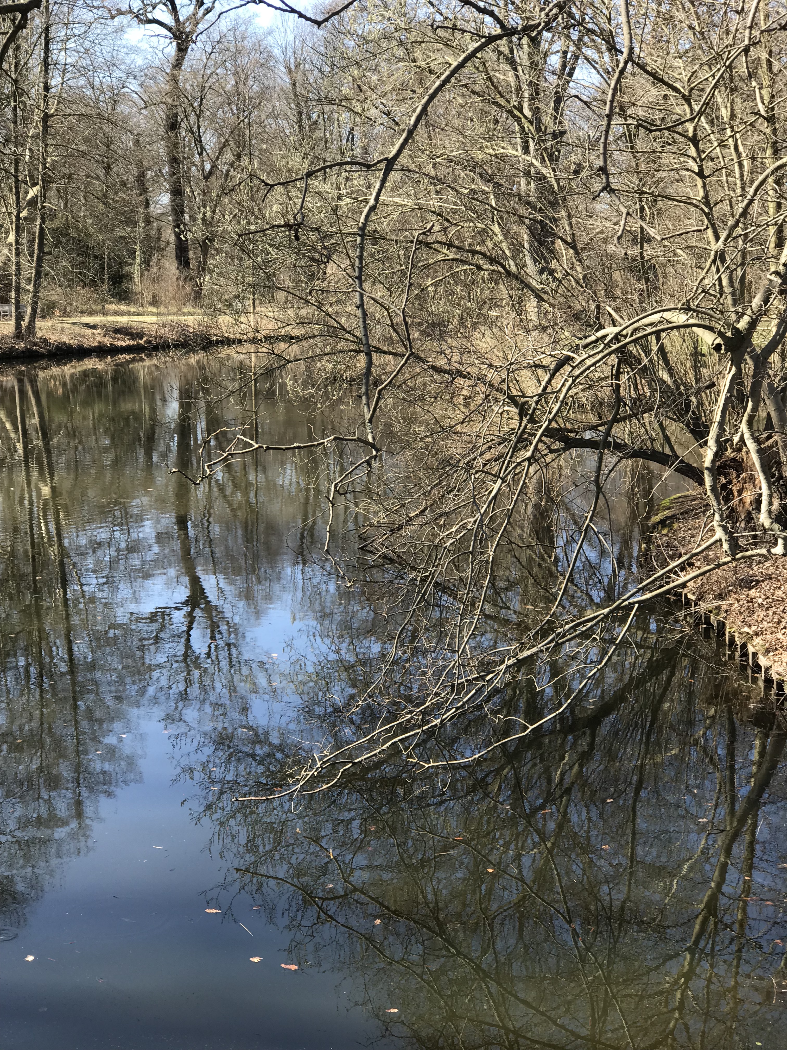 9w7+rUviRY+VZHbrytRPRg