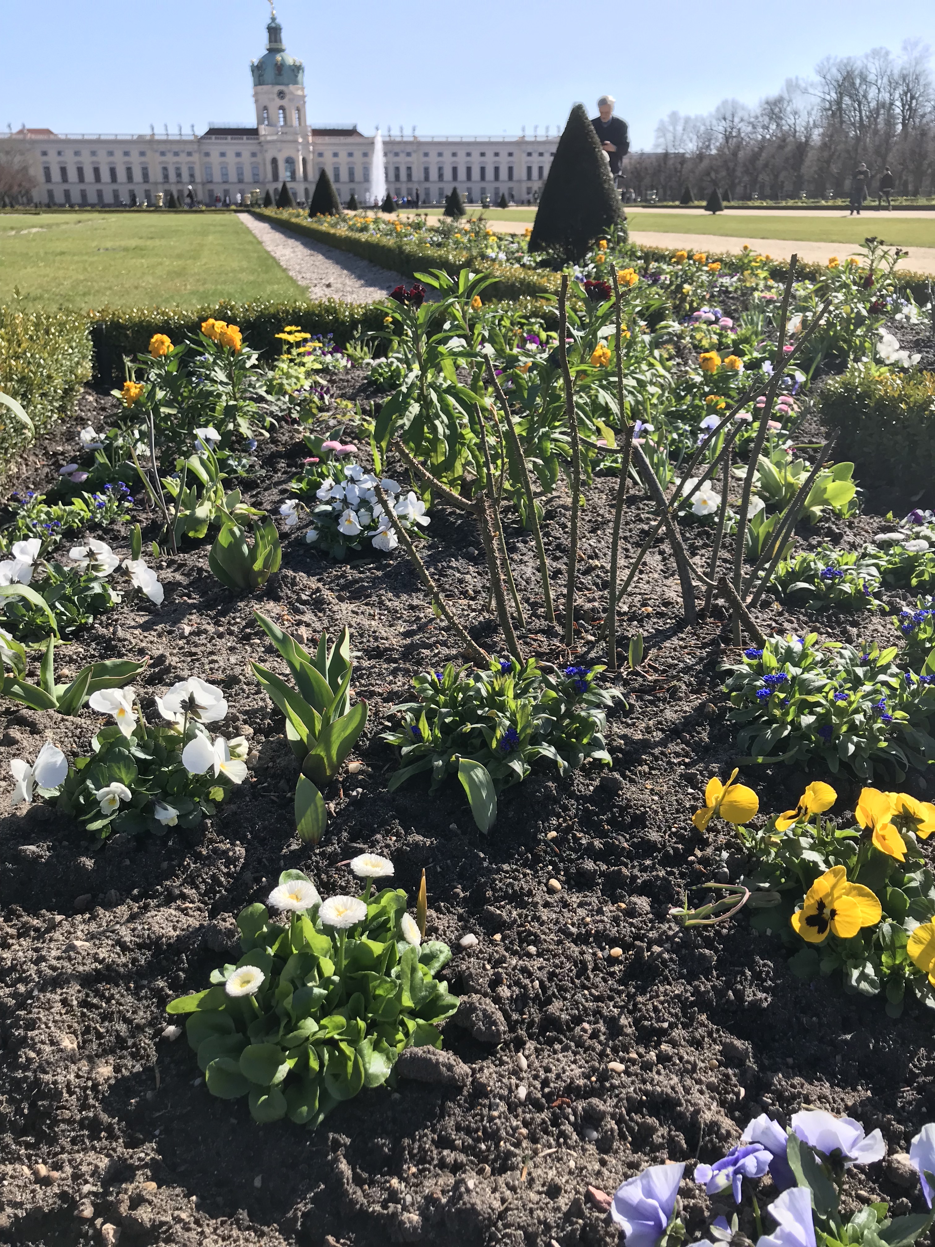 j8sbIsKHQteDPrQWNs8+yA