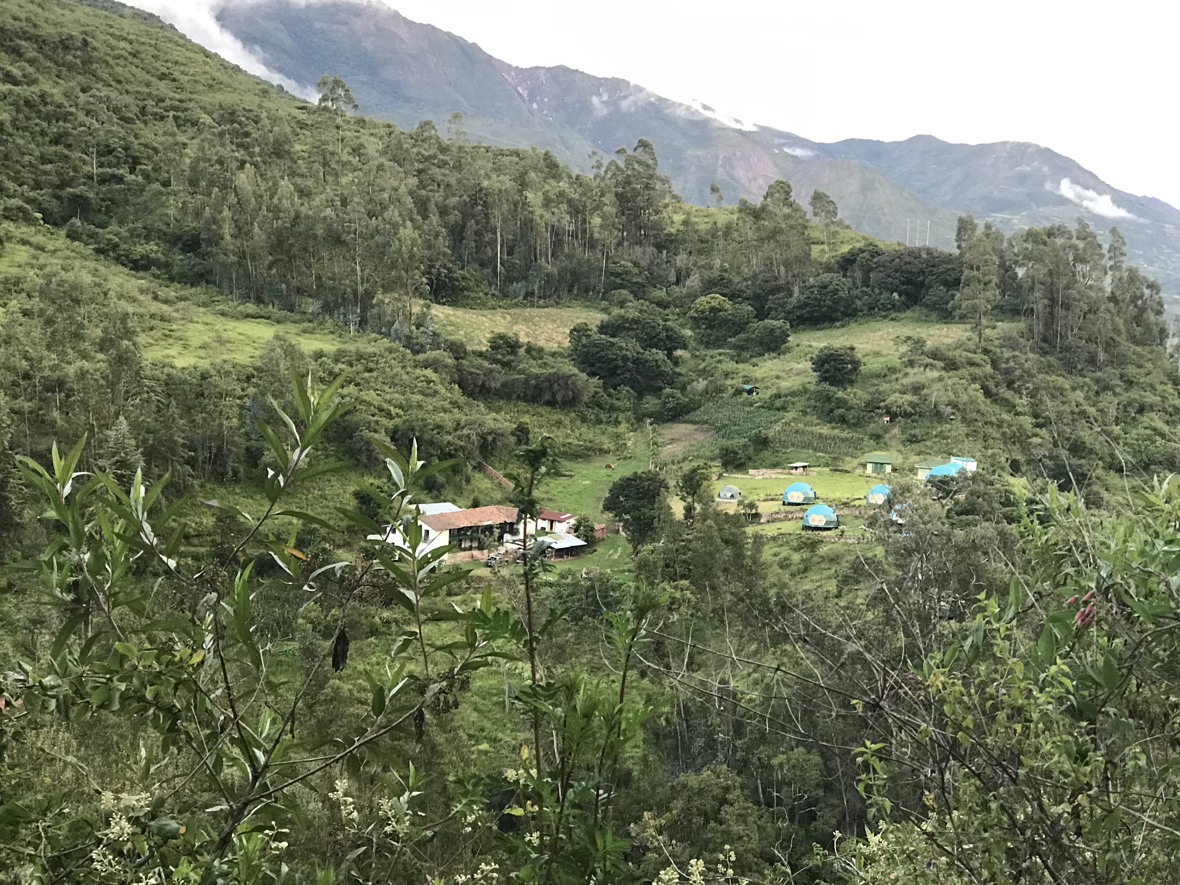 1JbNq4qzRlOL1vZ40GlYGA