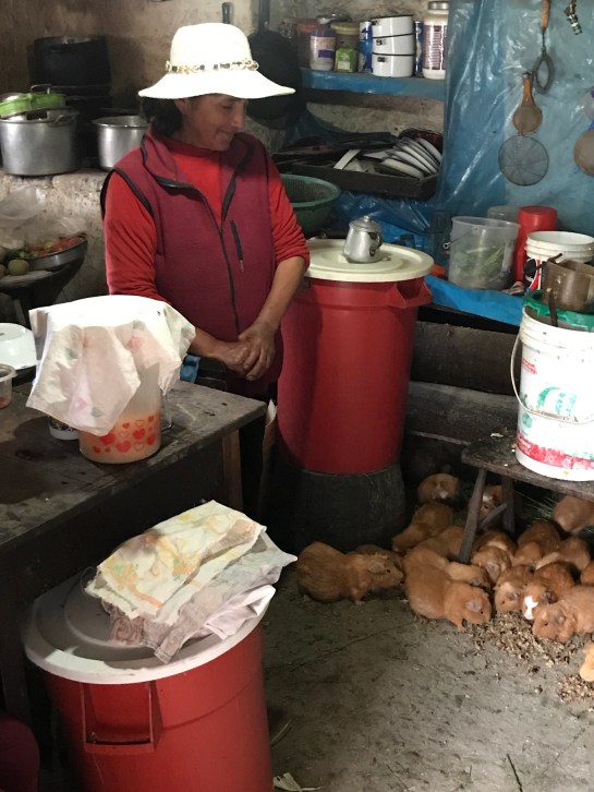 iIzq11e9R%avD59vNJVOJg